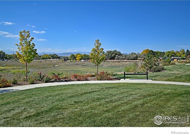 4507 Barrow Ln, Timnath, CO 80547