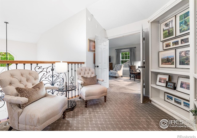 3000 E Cedar Ave Unit 2, Denver, CO 80209 - sitting room featuring lofted ceiling and carpet flooring