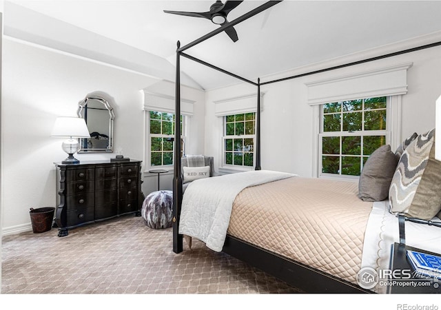3000 E Cedar Ave Unit 2, Denver, CO 80209 - carpeted bedroom featuring multiple windows, lofted ceiling, and a ceiling fan