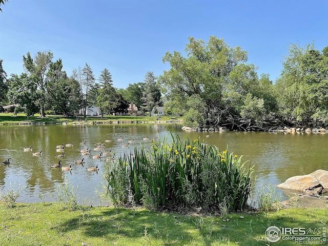 1203 19th St, Greeley, CO 80631 - photo 35