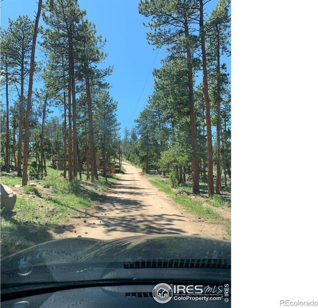 231 Snake Lake Dr, Red Feather Lakes, CO 80545 - photo 4