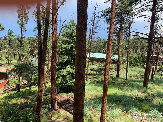 231 Snake Lake Dr, Red Feather Lakes, CO 80545 - photo 6