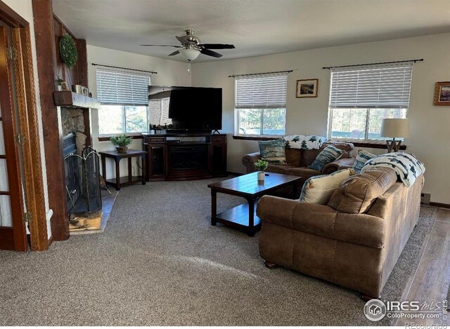 231 Snake Lake Dr, Red Feather Lakes, CO 80545 - photo 7