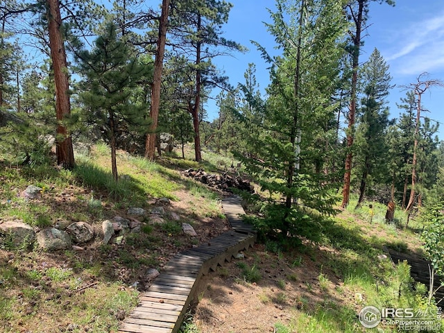 231 Snake Lake Dr, Red Feather Lakes, CO 80545 - photo 13