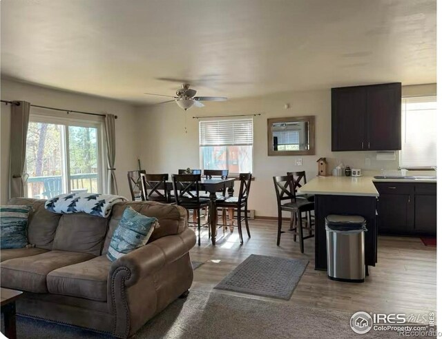 231 Snake Lake Dr, Red Feather Lakes, CO 80545 - photo 14