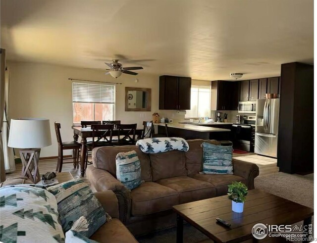 231 Snake Lake Dr, Red Feather Lakes, CO 80545 - photo 15