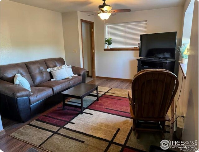 231 Snake Lake Dr, Red Feather Lakes, CO 80545 - photo 22