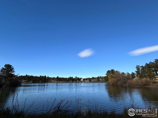 231 Snake Lake Dr, Red Feather Lakes, CO 80545 - photo 25