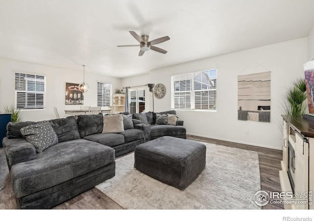 1781 Summer Bloom Dr, Windsor, CO 80550 - living area featuring ceiling fan, dark wood finished floors, and a chandelier