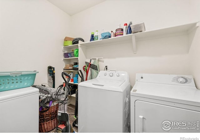 1781 Summer Bloom Dr, Windsor, CO 80550 - laundry area with separate washer and dryer