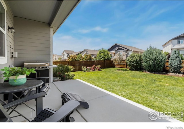 1382 Copeland Falls Rd, Severance, CO 80550 - photo 33