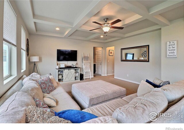 8820 14th Street Dr, Greeley, CO 80634 - photo 5