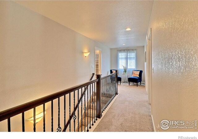 8820 14th Street Dr, Greeley, CO 80634 - photo 19
