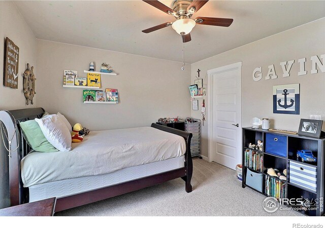 8820 14th Street Dr, Greeley, CO 80634 - photo 28
