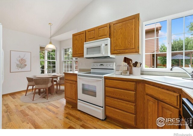 3024 Antelope Rd, Fort Collins, CO 80525