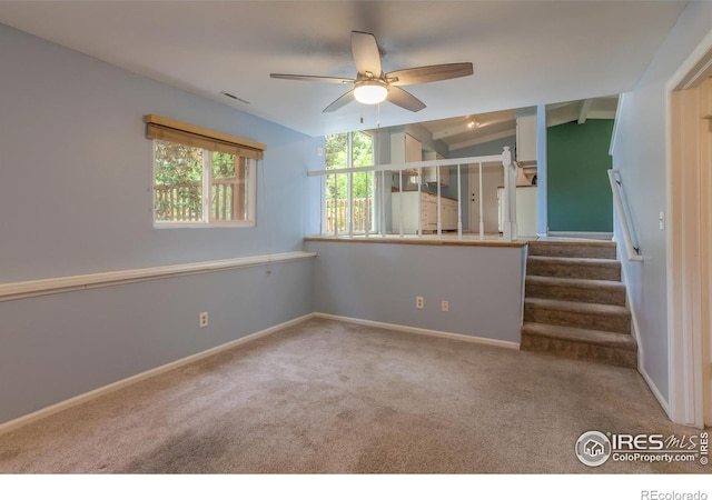 3142 Eagle Dr, Fort Collins, CO 80526 - photo 18