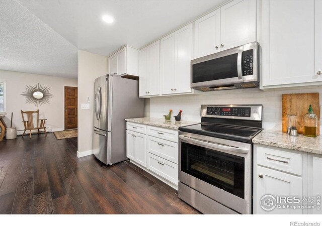 2011 Abeyta Ct, Loveland, CO 80538 - photo 6