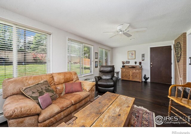 2011 Abeyta Ct, Loveland, CO 80538 - photo 10