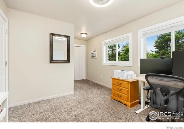 551 Spin Drift Ct, Fort Collins, CO 80525 - photo 18