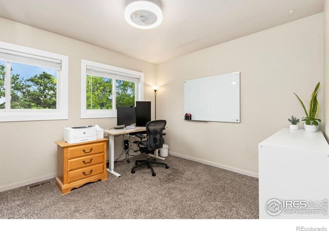 551 Spin Drift Ct, Fort Collins, CO 80525 - photo 19