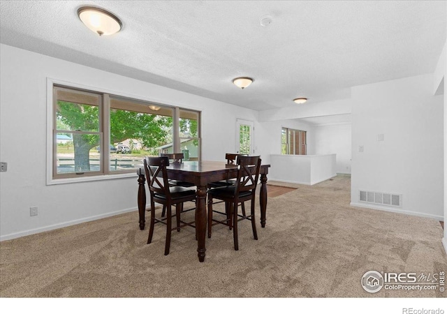 3400 Erving Ct, Berthoud, CO 80513 - carpeted dining area with baseboards and a textured ceiling