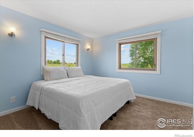 3400 Erving Ct, Berthoud, CO 80513 - bedroom featuring multiple windows and carpet flooring