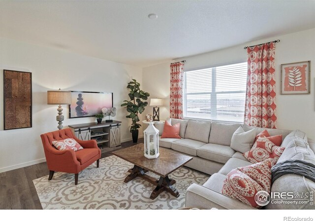 4706 Hatcher Dr, Brighton, CO 80601 - photo 10