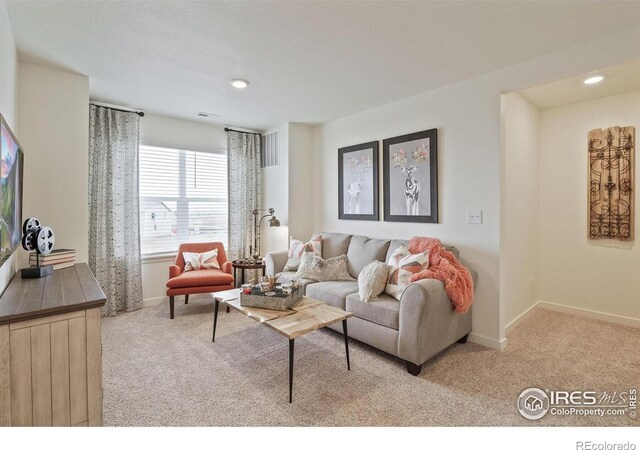 4706 Hatcher Dr, Brighton, CO 80601 - photo 21