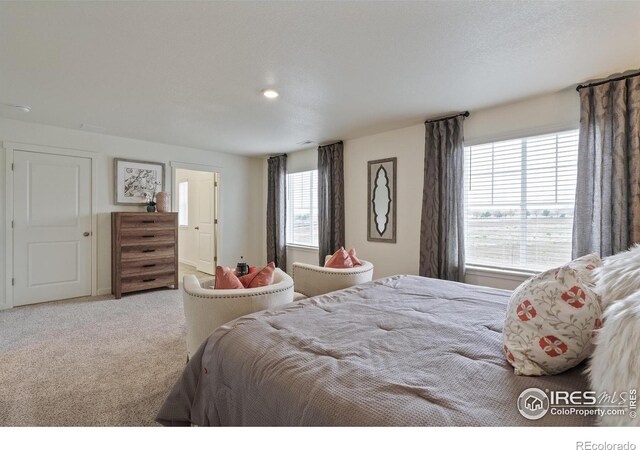 4706 Hatcher Dr, Brighton, CO 80601 - photo 22