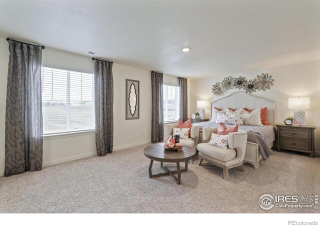 4706 Hatcher Dr, Brighton, CO 80601 - photo 24