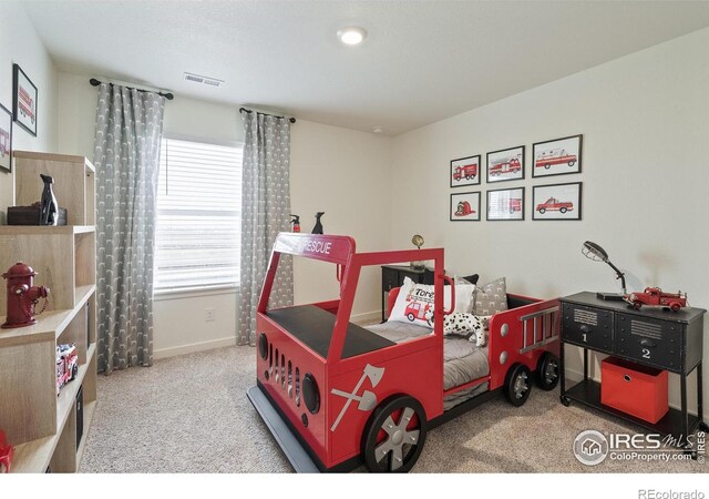 4706 Hatcher Dr, Brighton, CO 80601 - photo 27