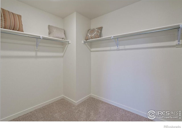4706 Hatcher Dr, Brighton, CO 80601 - photo 28
