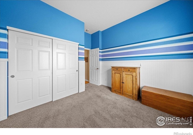2707 Pochard Ct, Johnstown, CO 80534 - unfurnished bedroom with carpet floors, a wainscoted wall, and a closet