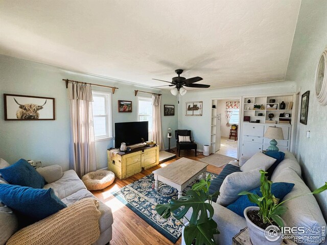 409 Cleveland St, Sterling, CO 80751 - photo 10