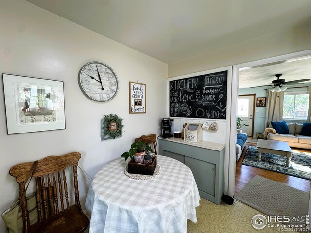 409 Cleveland St, Sterling, CO 80751 - photo 16