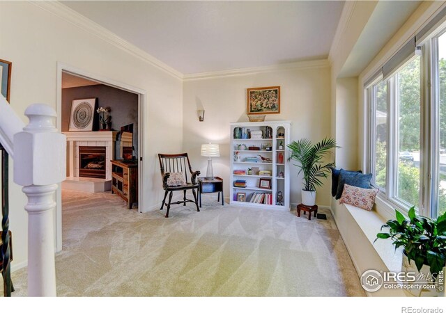 7200 W Canberra Street Dr, Greeley, CO 80634 - photo 3