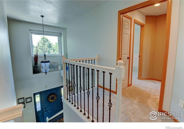7200 W Canberra Street Dr, Greeley, CO 80634 - photo 16
