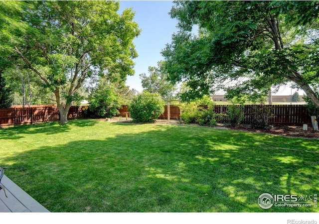 7200 W Canberra Street Dr, Greeley, CO 80634 - photo 34