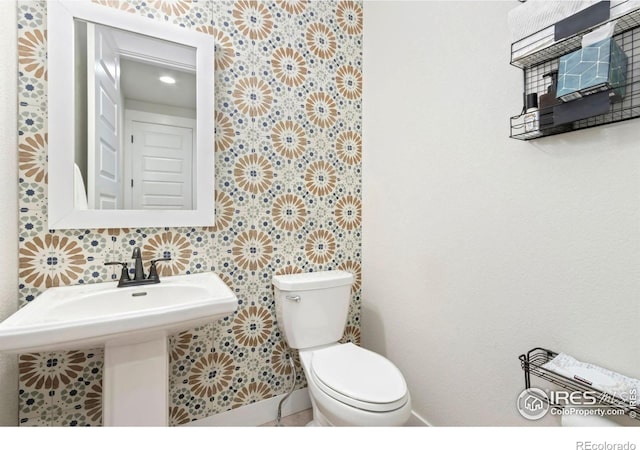 2156 Setting Sun Dr, Windsor, CO 80550 - half bath featuring toilet and wallpapered walls