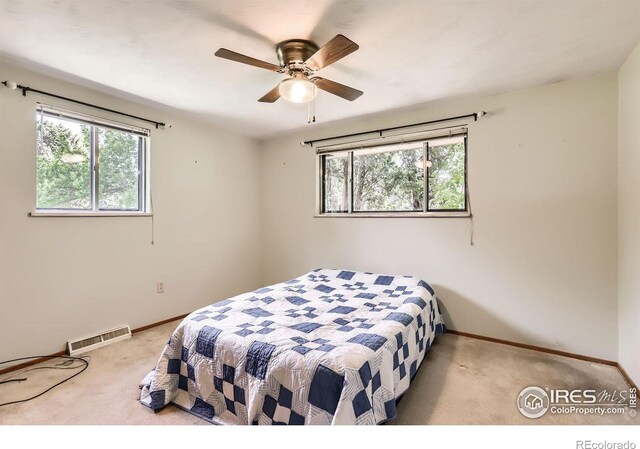 9449 Schlagel St, Longmont, CO 80503 - photo 21