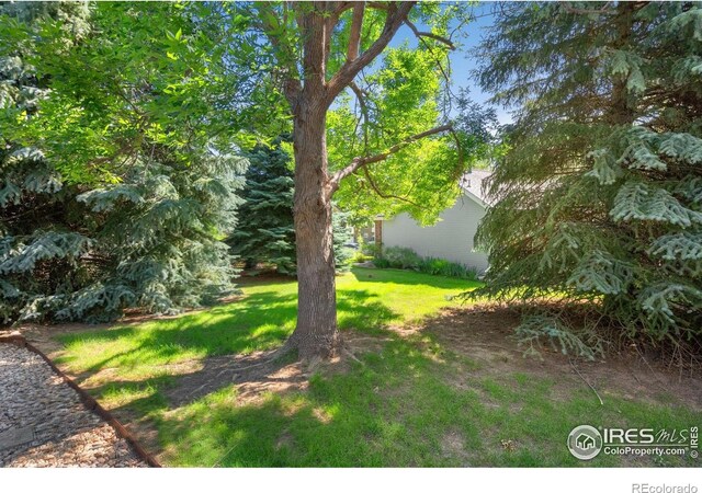 1274 Stoney Hill Dr, Fort Collins, CO 80525 - photo 39