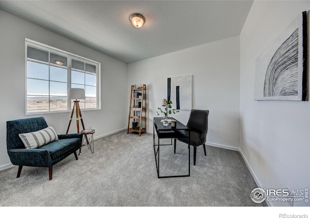1820 Foggy Brook Dr, Fort Collins, CO 80528 - photo 25