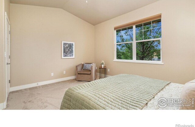 4056 Avenida Del Sol Dr, Loveland, CO 80538 - photo 17
