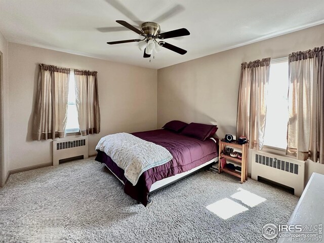 21167 County Road 70, Eaton, CO 80615 - photo 21