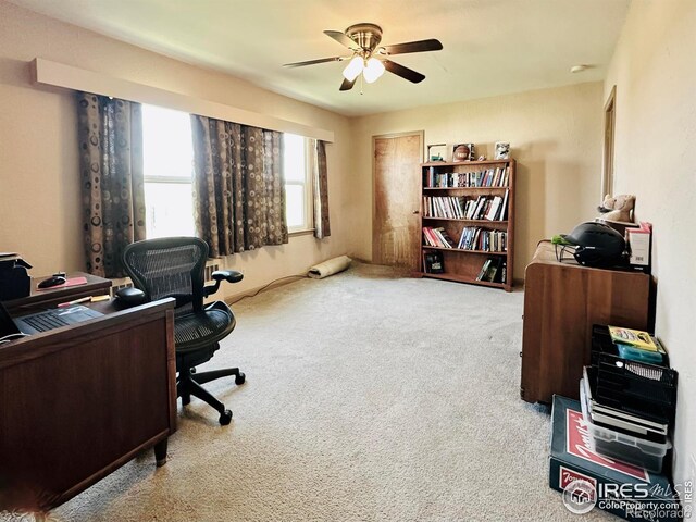 21167 County Road 70, Eaton, CO 80615 - photo 25