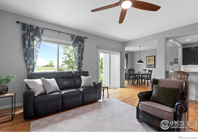 6042 Carmon Dr, Windsor, CO 80550 - living area featuring ceiling fan and wood finished floors