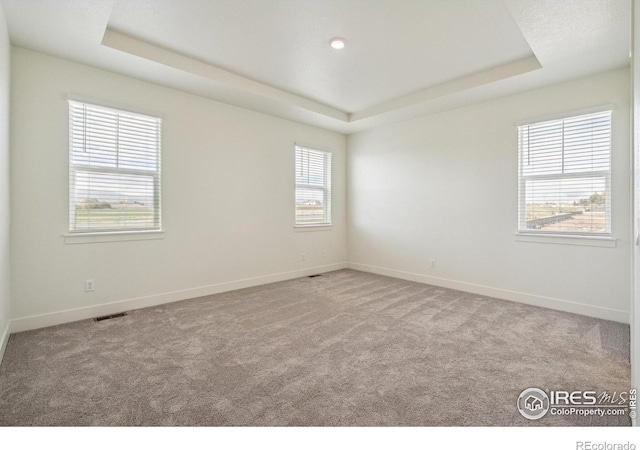 1842 Chaffee Crest Dr, Berthoud, CO 80513 - carpeted empty room featuring a tray ceiling and baseboards