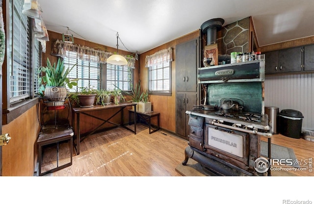 30 Falls Creek Dr, Bellvue, CO 80512 - kitchen with light wood-type flooring, lofted ceiling, and wood walls