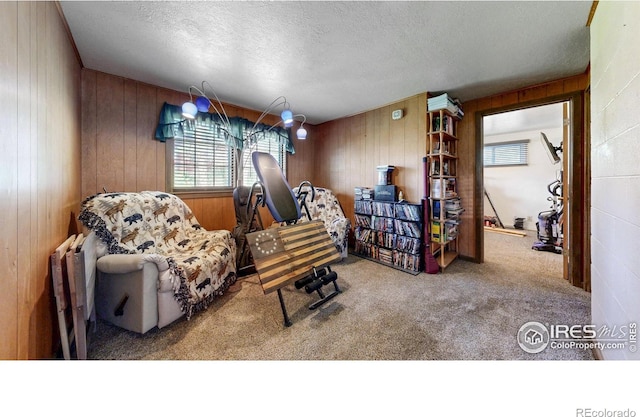 30 Falls Creek Dr, Bellvue, CO 80512 - carpeted living room featuring wooden walls and a textured ceiling