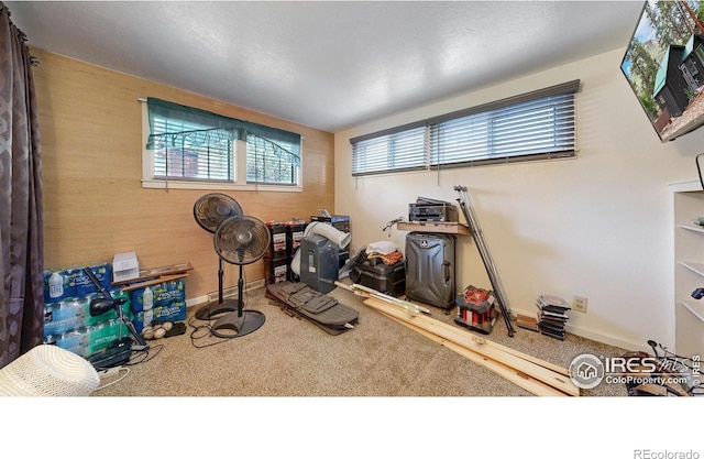 30 Falls Creek Dr, Bellvue, CO 80512 - workout area featuring carpet and healthy amount of natural light